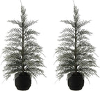 CG Hunter Holiday Collection, Set-of-2 Faux Flocked Cedar Trees, Premium Artificial Indoor & Outdoor Cedar Tree Stands 24" Tall in Pot–Perfect Christmas Decoration