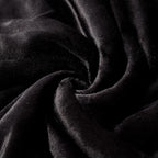 NANPIPER Fleece Blanket Sherpa Throw,Soft Fuzzy Twin Blankets for Couch,Black 60"x80"