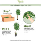 Nearly Natural 48in. Dracaena Artificial Plant with Green Real Touch Leaves - Lifelike Indoor Décor