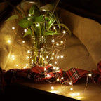 4 Pack 50 LED Warm White Battery-Powered Mini Christmas Fairy Lights, 16.4 FT Flexible Copper Wire, Indoor/Outdoor, LED, Battery Operated