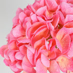 Nubry 22.44In Pink Hydrangea Artificial Flowers,4Pcs Latex Faux Real Touch Large Hydrangea Flowers with Long Stems & Leaves for Home Office Decor Wedding Party Arrangements(Pink)