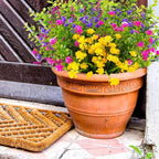 36 Bundles Outdoor Artificial Fake Flowers UV Resistant No Fade Boxwood Faux Plastic Shrubs Plants for Garden Patio Porch Window Box Home Wedding Farmhouse Hanging Décor
