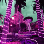 50ft 360 LED Purple Rope Lights, 110V Connectable Purple Led Strip Lights, Halloween Decoration Outdoor Lights for Deck, Patio, Pool, Camping, Landscape, Bedroom, Christmas Decor