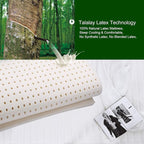 10 Inch Hybrid Mattress in a Box, Twin XL Size Latex Mattress with Memory Foam & Individually Pocket Coils Springs, Pressure Relief, Motion Isolation, Edge Support, CertiPUR-US Certified, Medium Firm