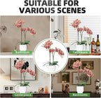 CXGS Orchids Artificial Flowers Real Touch Fake Flowers in Ceramic Pot 20" Purple Dapple Faux Orchid Plant Lifelike Silk Phalaenopsis for Centerpiece Hotel Home Indoor Decor