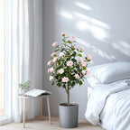 Artificial Camellia Tree 2 Pack, Artificial Plants Outdoor Faux Floral Plant in Cement Pot Fake Silk Camellia Tree Plants for Home House Living Room Office Decor