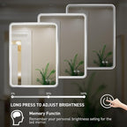 24x36 Inch LED Bathroom Mirror with Lights,Silver Metal Framed Brushed Lighted Vanity Mirror,Antifog Stepless Dimmable,Wall Mounted(Horizontal/Vertical)