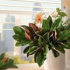 4 Pcs Magnolia Artificial Leaves Branches 22 Inch 3D Real Touch Faux Magnolia Stems Fake Magnolia Twigs for Indoor Outdoor Vase Filling Home Wedding Floral Arrangement Decoration