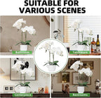 CXGS Orchids Artificial Flowers Real Touch Fake Flowers in Ceramic Pot 20" White Faux Orchid Plant Lifelike Silk Phalaenopsis for Centerpiece Hotel Home Indoor Decor
