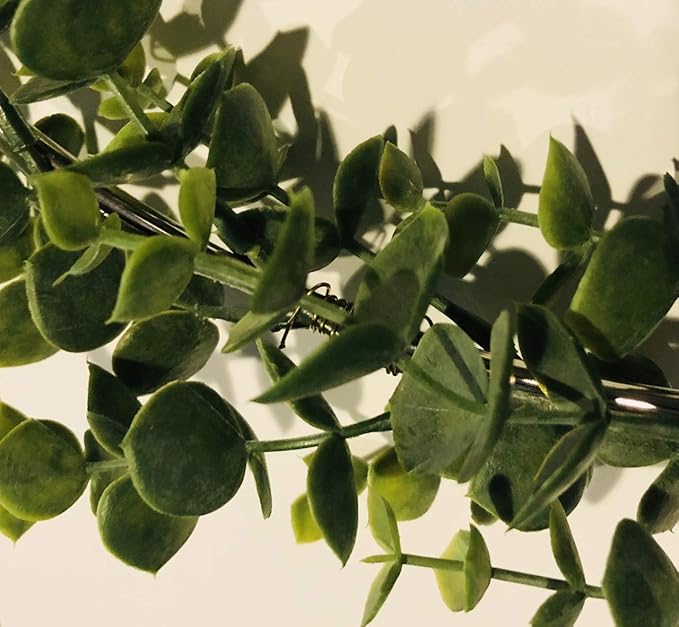 Metal Hoop Wreath Shabby Chic Eucalyptus Succulent Green Simple Wedding Baby Nursery Rustic Farmhouse Scandinavian Home Decor (Set of 3 - 8", 10", & 12")