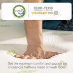 NapQueen Full Size, 8 Inch Anula Green Tea Infused Memory Foam Mattress, Bed in a Box, CertiPUR-US Certified Mattress