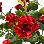 Artificial Camellia Tree 2 Pack, Artificial Plants Outdoor Faux Floral Plant in Cement Pot Fake Silk Camellia Tree Plants for Home House Living Room Office Decor