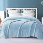 Exclusivo Mezcla Fleece Twin Size Blanket for Bed, 90x66 Inches Soft Cozy Jacquard Flannel Blankets, Lightweight Fuzzy Plush Warm for Winter, Light Blue