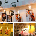 Decute 50LED Photo Clips String Lights Holder Timer Function 8 Modes Dimmable with Remote, 17FT Fairy Starry Lights for Christmas Card Bedroom Wedding Party Hanging Photos Pictures Memos, Warm White