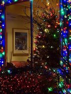 Twinkle Star 2 Pack Battery Operated Christmas Lights, Total 32 FT 100 LED Outdoor Christmas Lights with 8 Modes, Xmas Tree Lights Waterproof for Patio Garden Party Wedding Holiday Decor Multicolor