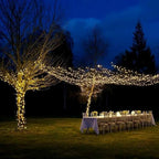 Homemory 200 LED Battery Operated Long Fairy Lights, 66FT Fairy String Lights with Remote, 8 Modes Copper Sliver Wire Lights, Waterproof Christmas Twinkle Lights Wedding Bedroom, Warm White