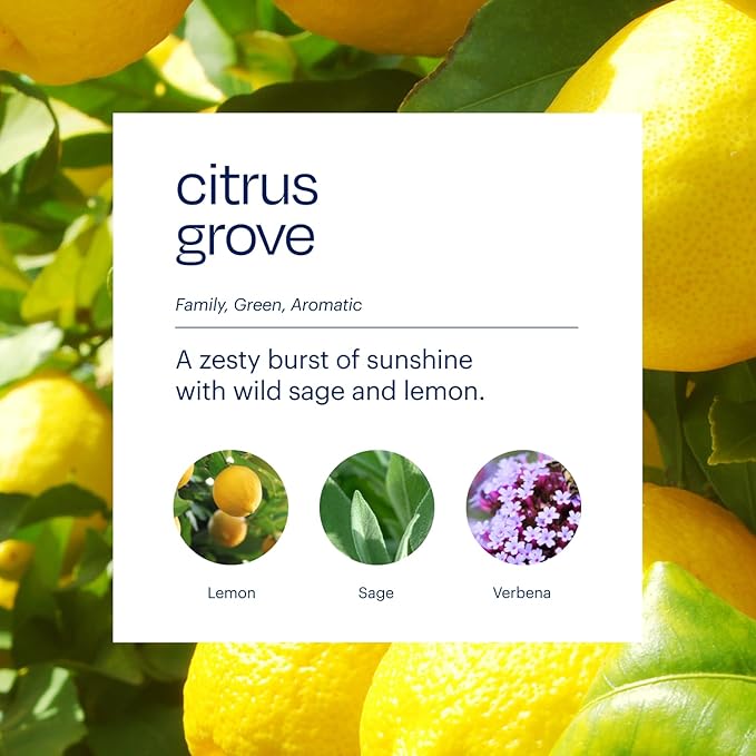 Aera True Loves Citrus Grove - Deodorizing Home Fragrance Scent Refill for Pet Odor - Notes of Wild Sage & Lemon - 12.5mL - For Use With Aera Diffuser (Sold Separately)
