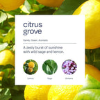 Aera True Loves Citrus Grove - Deodorizing Home Fragrance Scent Refill for Pet Odor - Notes of Wild Sage & Lemon - 12.5mL - For Use With Aera Diffuser (Sold Separately)