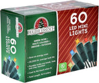 Holiday Essence 60 LED Mini Christmas Lights, Multi Color, Professional Grade for Indoor & Outdoor Use - Energy Efficient LED Bulbs - Green Wire - UL Certified