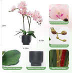 CXGS Orchids Artificial Flowers Real Touch Fake Flowers in Ceramic Pot 20" Pink Faux Orchid Plant Lifelike Silk Phalaenopsis for Centerpiece Hotel Home Indoor Decor