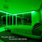 48ft Green LED Rope Lights Outdoor Waterproof - 324 LEDs Christmas Rope Lights, 120V ETL Certified, Connectable to 192ft, w/24 Mounting Clips & Screws - St. Patrick's Garden Decor