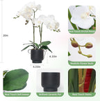 CXGS Orchids Artificial Flowers Real Touch Fake Flowers in Ceramic Pot 20" White Faux Orchid Plant Lifelike Silk Phalaenopsis for Centerpiece Hotel Home Indoor Decor