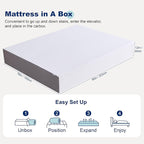 Amazon Basics Memory Foam Mattress, Soft Plush Feel, 12 Inch, King, White/Grey