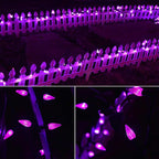 Twinkle Star C6 Halloween String Lights, 100 LED 33ft Fairy Lights with 29V Safe Adapter, Indoor Outdoor Black Wire Lights 8 Lighting Modes for Patio Xmas Tree Party Decor, Purple