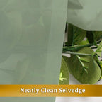 Aiyufneg 2 Panels Sage Green Sheer Valance - Short Fresh Sheer Curtain Valances for Windows Basement Semi Sheer Valances for Kitchen Window, Dual Rod Pocket (Sage Green, 40 by 14 Inches Long)