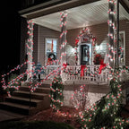 HOME LIGHTING 66ft Christmas Decorative Mini Lights, 200 LED Green Wire Fairy Starry String Lights Plug in, 8 Lighting Mode, for Indoor Outdoor Xmas Tree Wedding Party Garden Decoration (Red & White)
