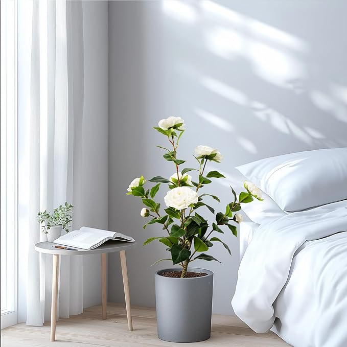 Artificial Camellia Tree 2 Pack, Artificial Plants Outdoor Faux Floral Plant in Cement Pot Fake Silk Camellia Tree Plants for Home House Living Room Office Decor