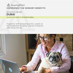 AromaPlan Hotel Scents Dubai 16 Fl Oz (473ml), Home Luxury Aroma & Hotel Diffuser Oil- Hotel Diffuser Oil for Aromatherapy- USA Made, Bigger Bottle, Bolder Aroma & Longer Lasting