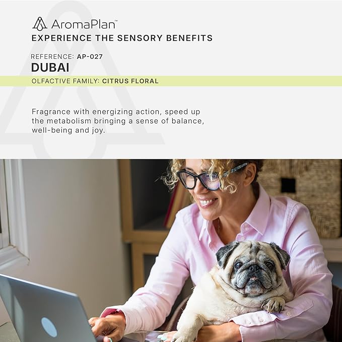 AromaPlan Hotel Scents Dubai 16 Fl Oz (473ml), Home Luxury Aroma & Hotel Diffuser Oil- Hotel Diffuser Oil for Aromatherapy- USA Made, Bigger Bottle, Bolder Aroma & Longer Lasting