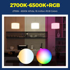 Lightinginside Smart Light Bulbs 100W Equivalent, Works with Alexa/Google Home/Smart Life, 1350LM 11W RGBCW Color Changing LED Light Bulbs, 2.4G WiFi Bluetooth Bulb, No Hub Required, ETL Listed, 2PCS