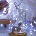 5 Pack Fairy Lights Battery Operated, 7 Feet 20 Led String Lights with Timer, Waterproof Firefly Lights on Silver Wire for Home Party Wedding Christmas Decorations, 6 Hours on/18 Hours Off, Pure White