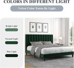 Allewie King Bed Frame/Velvet Upholstered Bed Frame with Vertical Channel Tufted Headboard/Strong Wooden Slats/Platform Bed Frame/Mattress Foundation/Box Spring Optional/Easy Assembly/Green