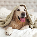 BEDELITE Fleece Blanket King Size Blankets for Bed, Luxury Plush Cozy Fuzzy Blanket 108x90 inches, Super Soft Warm Lightweight Throw Blanket All Seasons Suitable, Linen