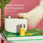 Aera True Loves Citrus Grove - Deodorizing Home Fragrance Scent Refill for Pet Odor - Notes of Wild Sage & Lemon - 12.5mL - For Use With Aera Diffuser (Sold Separately)