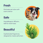 Aera True Loves Alpine Cedar - Deodorizing Home Fragrance Scent Refill for Pet Odor - Notes of Juniper, Cedarwood & Jasmine - 12.5mL - For Use With Aera Diffuser (Sold Separately)