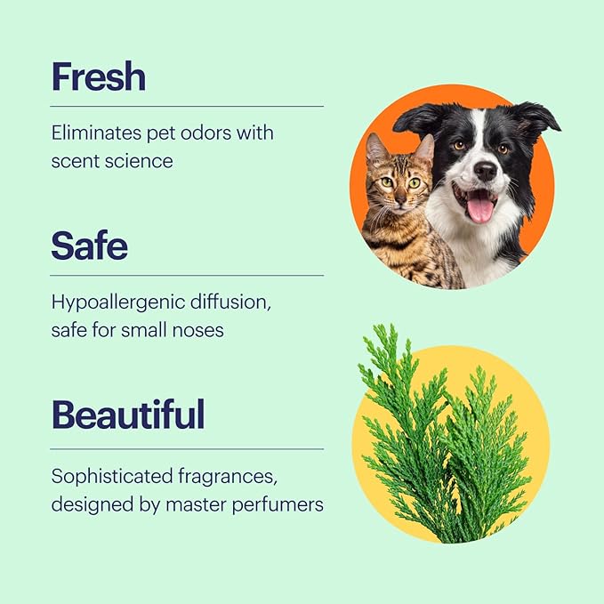 Aera True Loves Alpine Cedar - Deodorizing Home Fragrance Scent Refill for Pet Odor - Notes of Juniper, Cedarwood & Jasmine - 12.5mL - For Use With Aera Diffuser (Sold Separately)