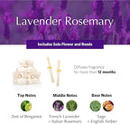 AGRARIA AirEssence Flower and Reed Diffuser Set, Handmade Sola Flower Botanical Home Fragrance Set, Scented Oil Reed Diffuser Gift for All Occasions