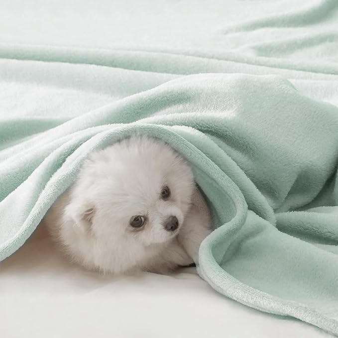 BEAUTEX Fleece Throw Blanket for Couch Sofa or Bed Throw Size, Soft Fuzzy Plush Blanket, Luxury Flannel Lap Blanket, Super Cozy and Comfy for All Seasons (50" x 60",Mint)