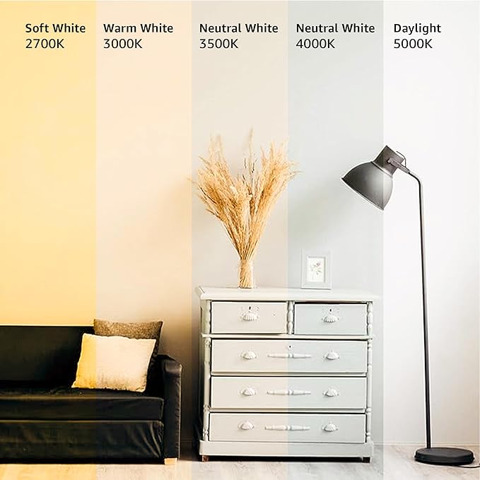 Amazon Basics LED Light Bulbs, Energy Efficient 6W, 40 Watt Equivalent, E26 Standard Base, 2700, Dimmable, 10,000 Hour, Soft White, 6 Count (Pack of 4)