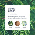 Aera True Loves Alpine Cedar - Deodorizing Home Fragrance Scent Refill for Pet Odor - Notes of Juniper, Cedarwood & Jasmine - 12.5mL - For Use With Aera Diffuser (Sold Separately)