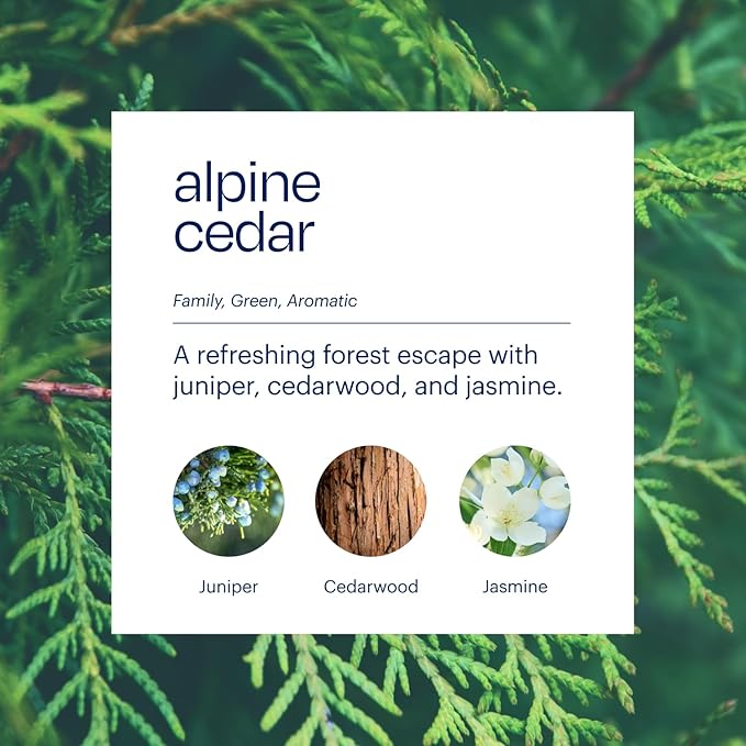 Aera True Loves Alpine Cedar - Deodorizing Home Fragrance Scent Refill for Pet Odor - Notes of Juniper, Cedarwood & Jasmine - 12.5mL - For Use With Aera Diffuser (Sold Separately)