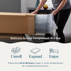Lucid 10 Inch Memory Foam Mattress - Plush Feel - Infused with Refreshing Bamboo Charcoal and Cooling Gel - Bed in a Box - Temperature Regulating - Pressure Relief - Breathable - Queen Size