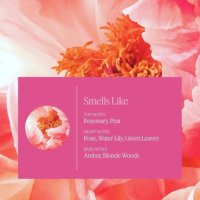 Aera Mini Rose - Essential Oil for Home - Fresh and Sensuous Fragrance - Notes of Himalayan Rose, Linden and Peony - Scent Refill - Capsule Size Works with Mini Diffuser