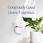 Aera Mini Home Fragrance Diffuser and Mini True Loves Citrus Grove Refill Bundle - Aromatherapy for Rooms 100-500 Sq Ft - Alexa Compatible, Hypoallergenic, Family and Pet Safe, App Controlled