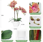 CXGS Orchids Artificial Flowers Real Touch Fake Flowers in Ceramic Pot 20" Purple Dapple Faux Orchid Plant Lifelike Silk Phalaenopsis for Centerpiece Hotel Home Indoor Decor