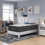 Modway Aveline 14” Gel Infused Memory Mattress with CertiPUR-US Certified Foam Twin Mattress